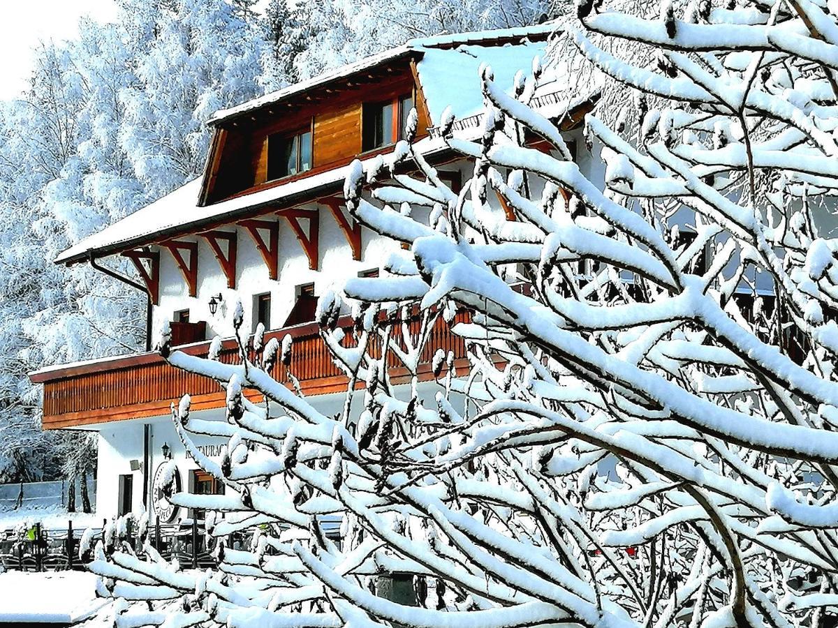 Homestay Tyrolska Swieradow-Zdroj