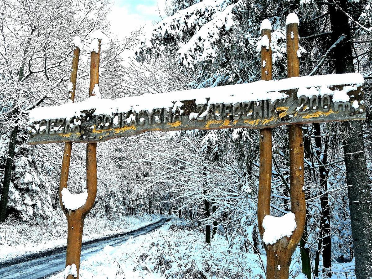 Homestay Tyrolska