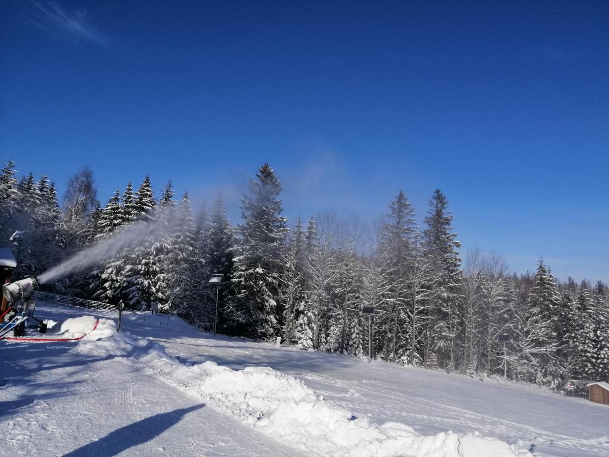 Tyrolska Homestay