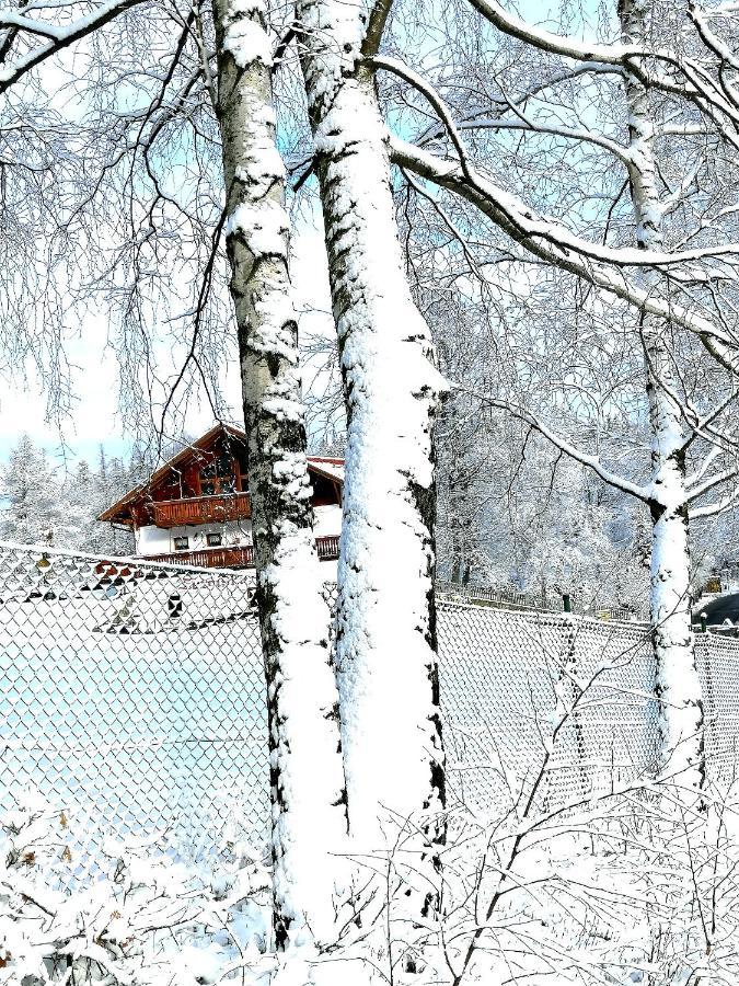 Homestay Tyrolska